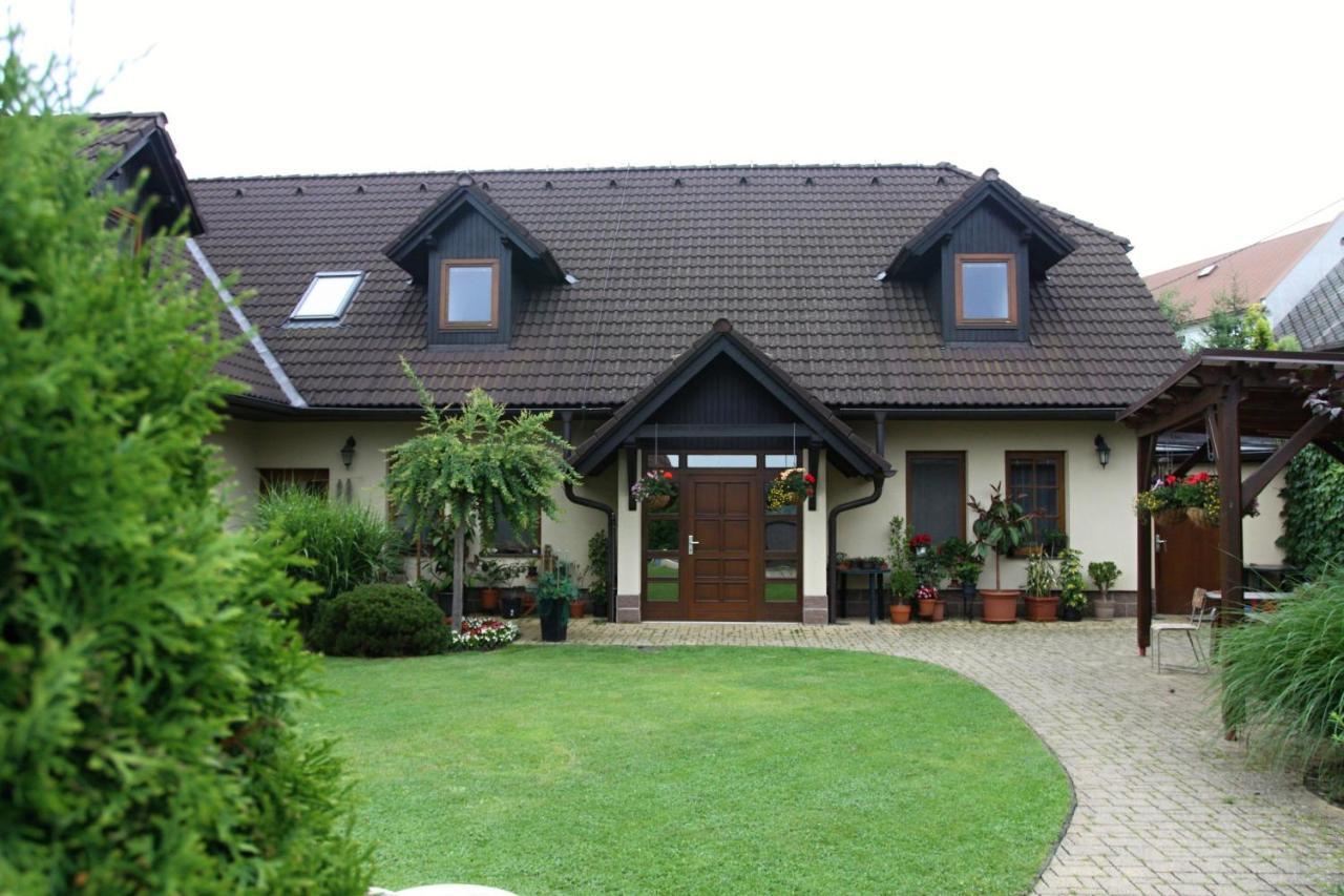 Zdarske Vrchy Světnov