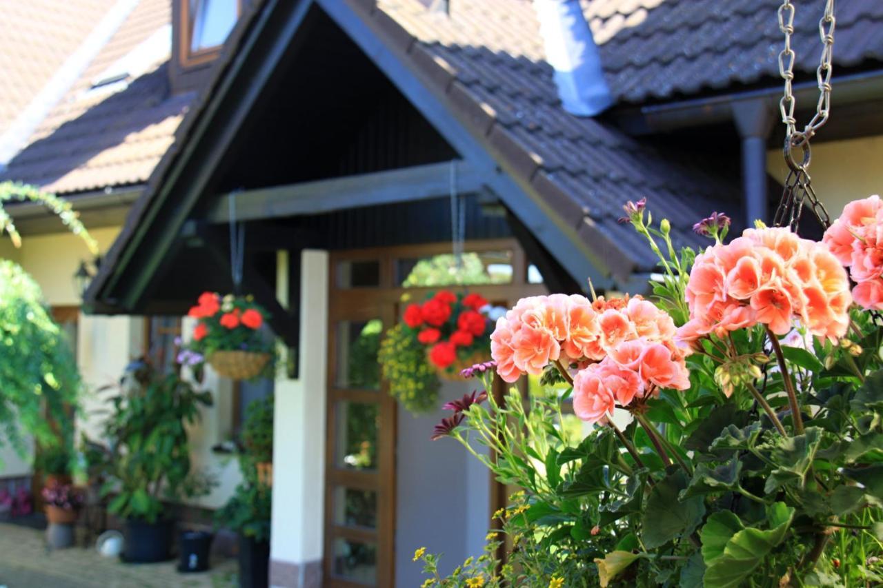 Zdarske Vrchy Apartament *