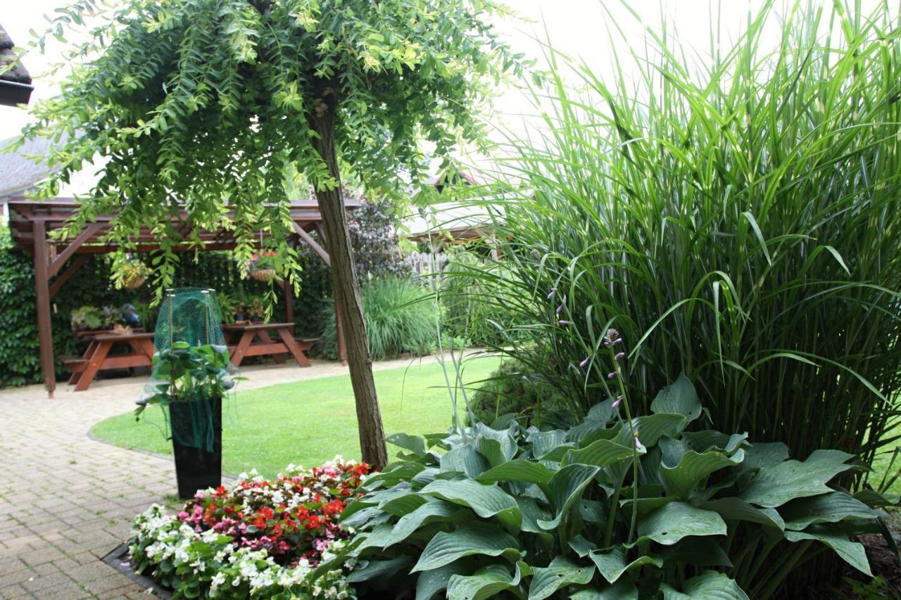 Apartment Ubytovani Zdarske Vrchy